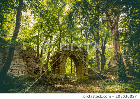 Old castle ruins 105036857