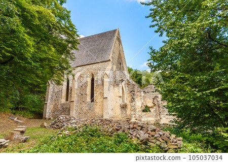 Ruins of 14th Century monastery church 105037034
