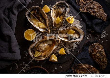 Arranged oysters in black slate board Arranged oysters in black slate board 105037059