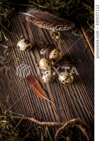 Quail eggs 105037112