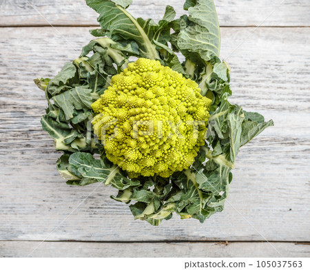 Romanesco broccoli 105037563