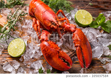 Lobster 105037584