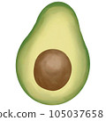 Drawing of avocado isolated on transparent background for usage as an illustration, food, fruits and eating concept 105037658