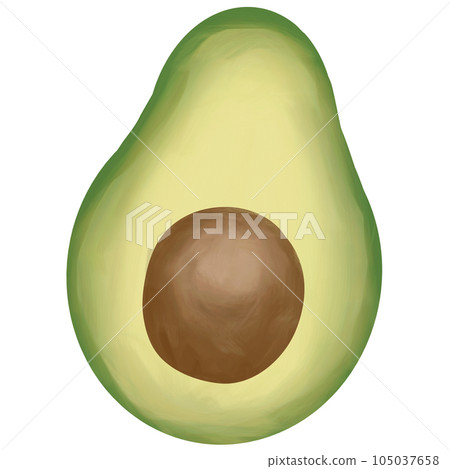 Drawing of avocado isolated on transparent background for usage as an illustration, food, fruits and eating concept 105037658