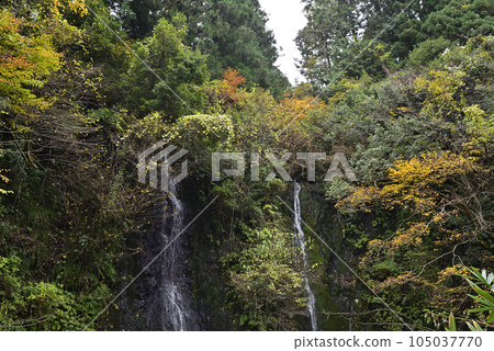西美野紅葉公路 105037770