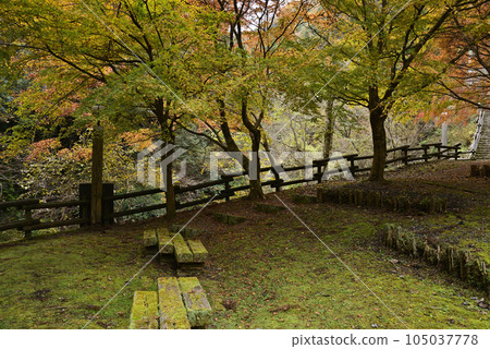 Nishimino Momiji Highway 105037778