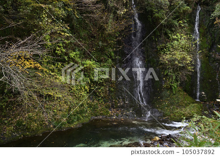 Nishimino Momiji Highway 105037892