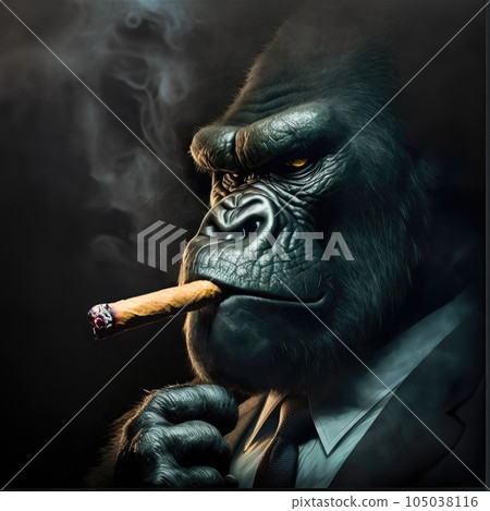 a gorilla with black suit smoking a cigar 105038116