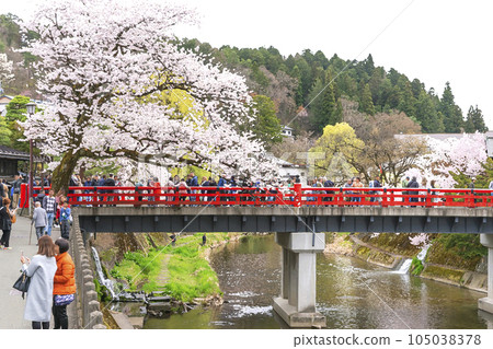 230406 Sakura Nakahashi illustration 5z141 230406 Sakura Nakahashi illustration 5z141 105038378