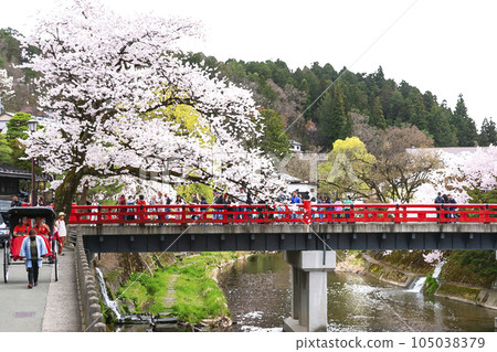 230406 Sakura Nakahashi illustration 5z138 105038379