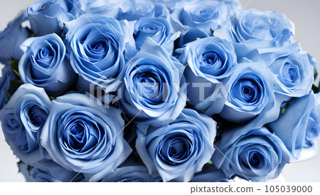 藍玫瑰花束週年紀念圖片 藍玫瑰花束週年紀念圖片 105039000