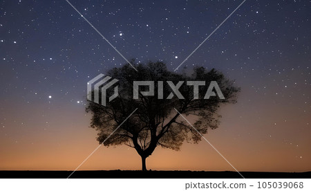 Fantastic starry sky and tree silhouette scenery 105039068