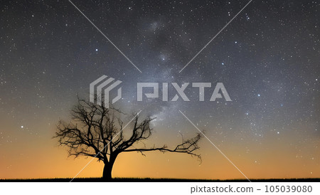 Fantastic starry sky and tree silhouette scenery 105039080