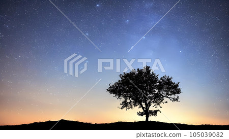 意想不到的滿天星斗的天空和樹剪影風景 105039082
