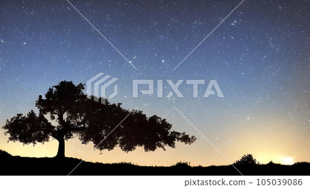 意想不到的滿天星斗的天空和樹剪影風景 意想不到的滿天星斗的天空和樹剪影風景 105039086