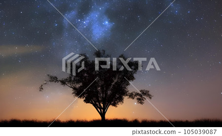 意想不到的滿天星斗的天空和樹剪影風景 意想不到的滿天星斗的天空和樹剪影風景 105039087