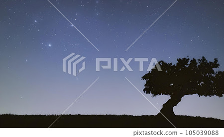 意想不到的滿天星斗的天空和樹剪影風景 意想不到的滿天星斗的天空和樹剪影風景 105039088