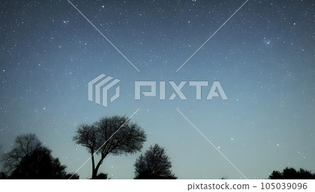 Fantastic starry sky and tree silhouette scenery 105039096