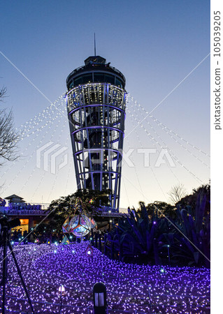 Illumination of Enoshima Sea Candle Illumination of Enoshima Sea Candle 105039205