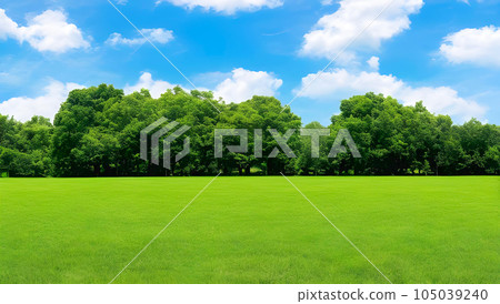 Scenery of grasslands with refreshing blue sky and fresh green sprouts 105039240