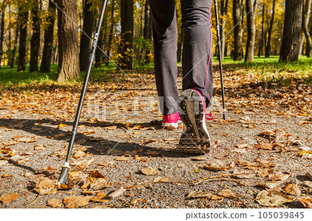 Nordic walking adventure and exercising concept - woman hiking, legs and nordic walking poles in autumn nature Nordic walking adventure and exercising concept - woman hiking, legs and nordic walking poles in autumn nature 105039845