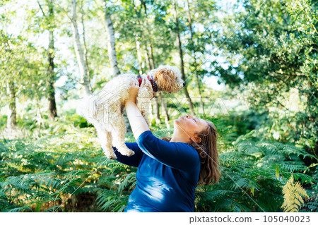 Happy middle-aged woman embracing her cockapoo puppy pet dog during walk outdoors in summer forest or park on sunset. Cute little doggy. A woman petting her dog like a small child. Selective focus 105040023