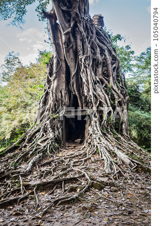 Sambor Prei Kuk Pre-Angkorian temple complex ruins. Kampong Thom, Cambodia Sambor Prei Kuk Pre-Angkorian temple complex ruins. Kampong Thom, Cambodia 105040794