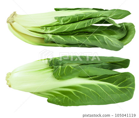 Organic fresh chard plant isolated on white background with full depth of field 105041119