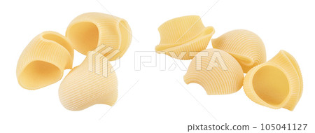lumaconi pasta isolated on white background with full depth of field. Top view. Flat lay lumaconi pasta isolated on white background with full depth of field. Top view. Flat lay 105041127