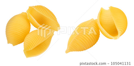 Uncooked dried conchiglie. Raw organic shell pasta isolated on white bachground with full depth of field. Top view. Flat lay Uncooked dried conchiglie. Raw organic shell pasta isolated on white bachground with full depth of field. Top view. Flat lay 105041131