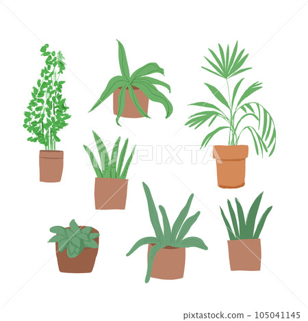 Plant in pot vector illustration set. Cartoon flat different indoor potted decorative houseplants for interior home or office decoration, green garden floral collection icons isolated on white. Vector Plant in pot vector illustration set. Cartoon flat different indoor potted decorative houseplants for interior home or office decoration, green garden floral collection icons isolated on white. Vector 105041145