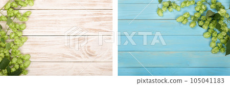 Fresh green hop cones on white and blue wooden background. Ingredient for beer production. Top view with copy space for your text Fresh green hop cones on white and blue wooden background. Ingredient for beer production. Top view with copy space for your text 105041183