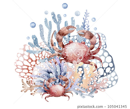 The composition of marine animals. Blue watercolor sea fish, turtle, whale and coral. Nautical illustration of nautical, jellyfish, starfish The composition of marine animals. Blue watercolor sea fish, turtle, whale and coral. Nautical illustration of nautical, jellyfish, starfish 105041345