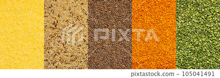 Various grain cereals banner 105041491