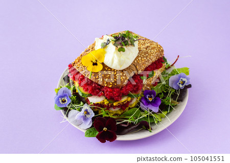 Healthy delicious sandwiches 105041551