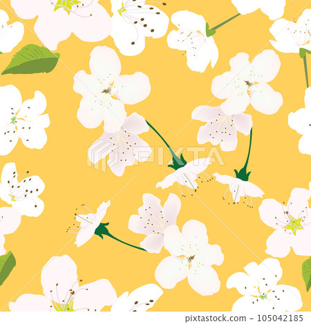 Seamless pattern with white flowers and yellow background for prints; Seamless pattern with white flowers and yellow background for prints; 105042185