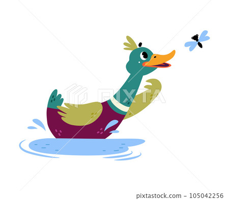 Funny Dabbling Duck Character Swimming in Pond Vector Illustration 105042256