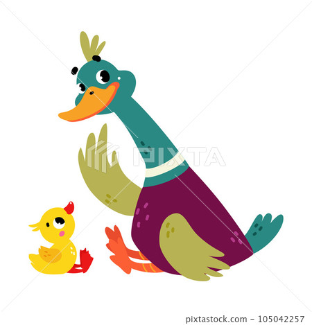 Funny Dabbling Duck Character Sitting with Little Baby Duckling Vector Illustration 105042257