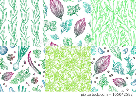Collection of seamless patterns with herbs. 105042592