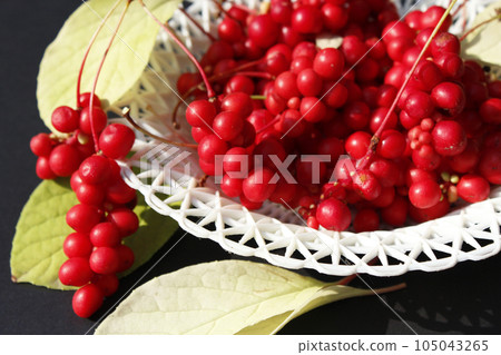 schizandra on the plate schizandra on the plate 105043265