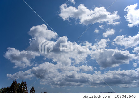 [Landscape full of clouds] Bubbling clouds Suspicious clouds 105043646