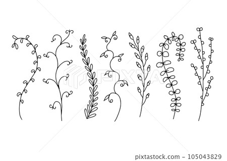 Hand drawn wild flowers illustrations set isolated on white background 105043829