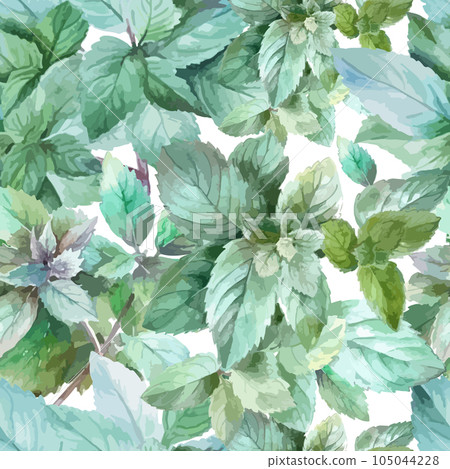 Watercolor mint leaves seamless pattern. Vector illustration 105044228