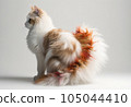 fluffy tail cat 105044410