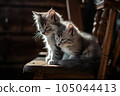kitten on chair 105044413