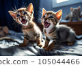 Cute kittens 105044466