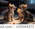 Pretty kitten 105044475