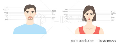 Diagram of woman and man head with names, parts of the face text labeled fashion Illustration Infographic, description Diagram of woman and man head with names, parts of the face text labeled fashion Illustration Infographic, description 105046095