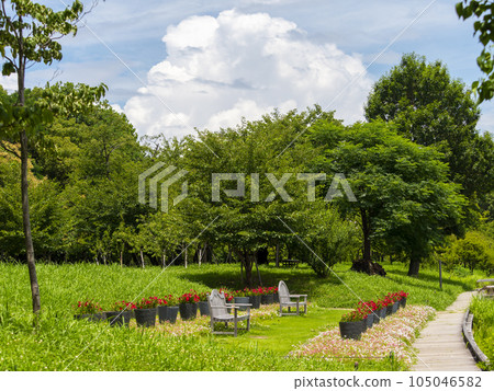 公園裡的花壇,鮮花盛開,夏日天空 公園裡的花壇,鮮花盛開,夏日天空 105046582