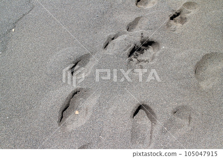 留在海灘上的腳印 留在海灘上的腳印 105047915